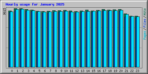 Hourly usage for January 2025