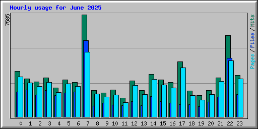 Hourly usage for June 2025