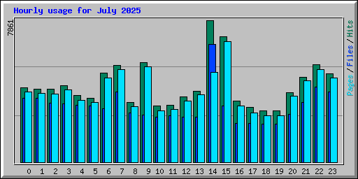 Hourly usage for July 2025