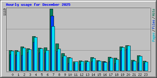 Hourly usage for December 2025