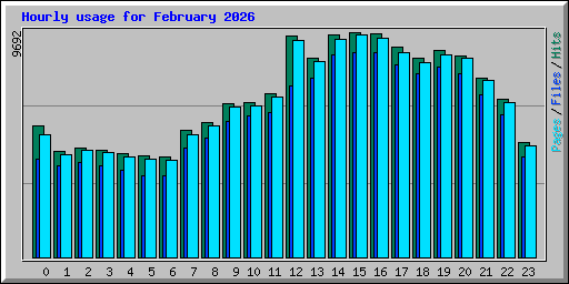 Hourly usage for February 2026